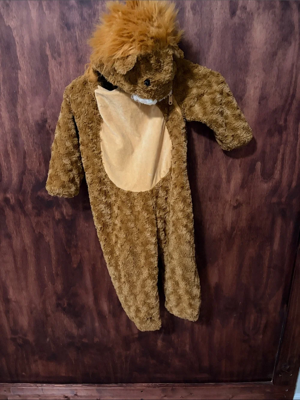 Kids Brown Plush Lion One-Piece Costume